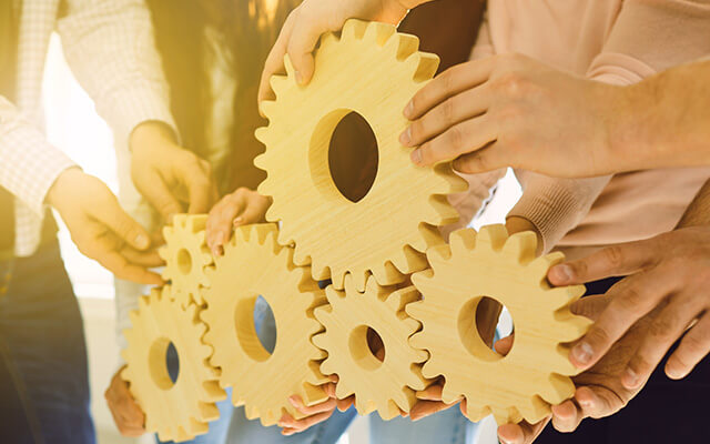 Different gears for custom software development seamlessly integrate for increased productivity and efficiency